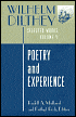 Wilhelm Dilthey: Selected Works, Volume V: Poetry and Experience - Rudolf A. Makreel, Wilhelm Dilthey, Frithjof Rodi (Editor)